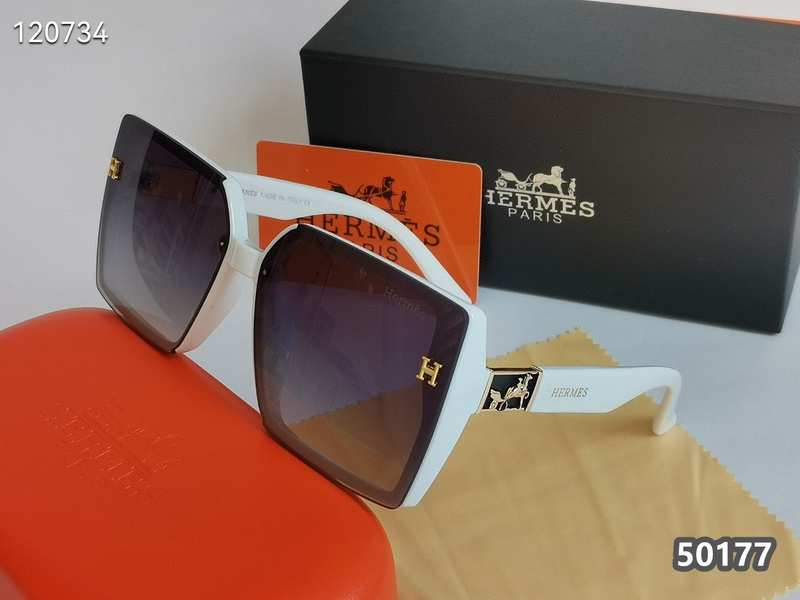 Hermes Glasses xhx (63)